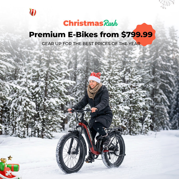 Mokwheel Ebikes