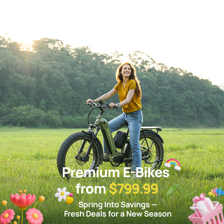 Mokwheel Ebikes