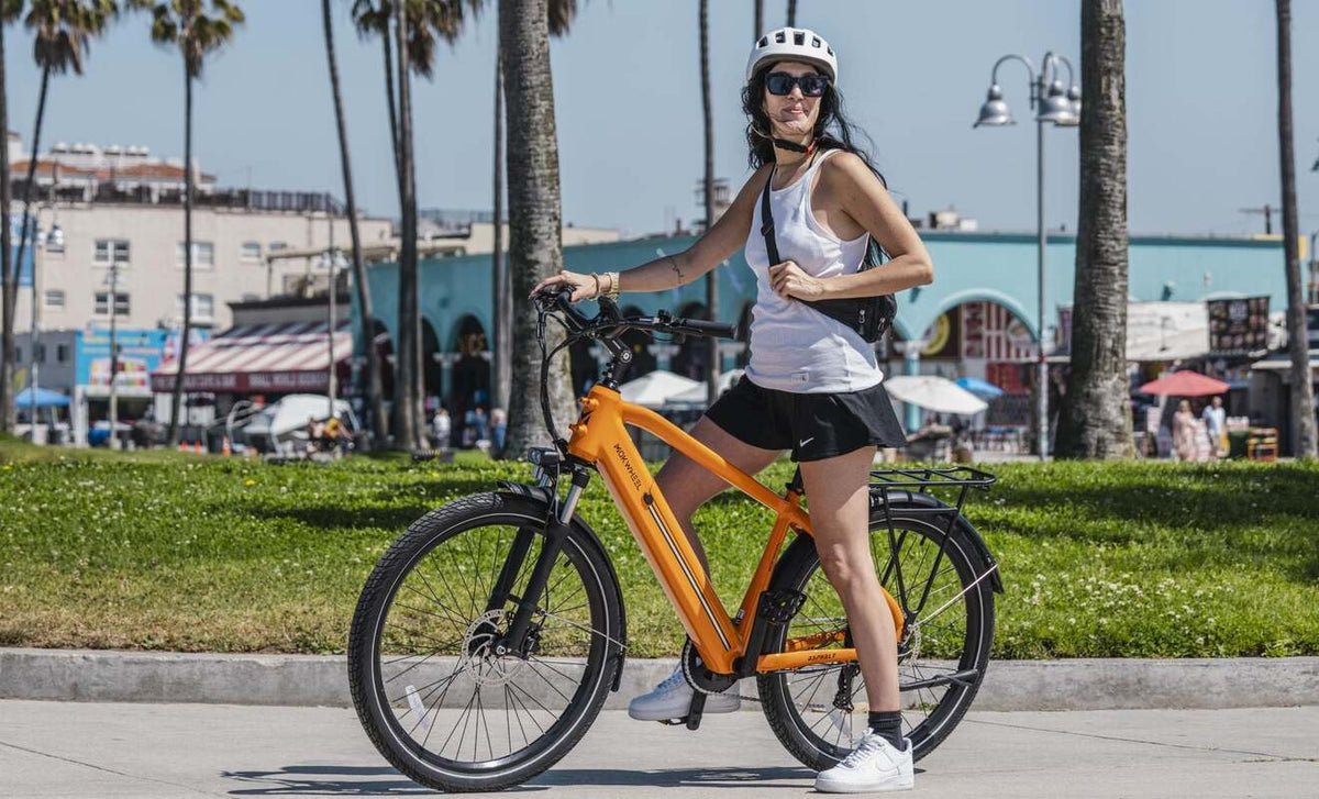 Mokwheel Asphalt - commuter electric bike