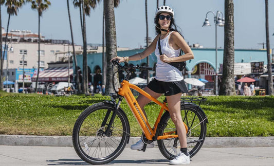 Mokwheel Asphalt - commuter electric bike