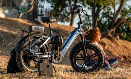 Mokwheel Scoria - affordable fat tire electric bike