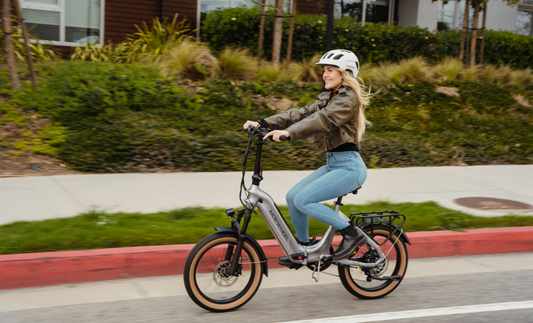 Mokwheel Slate - adult folding electric bike