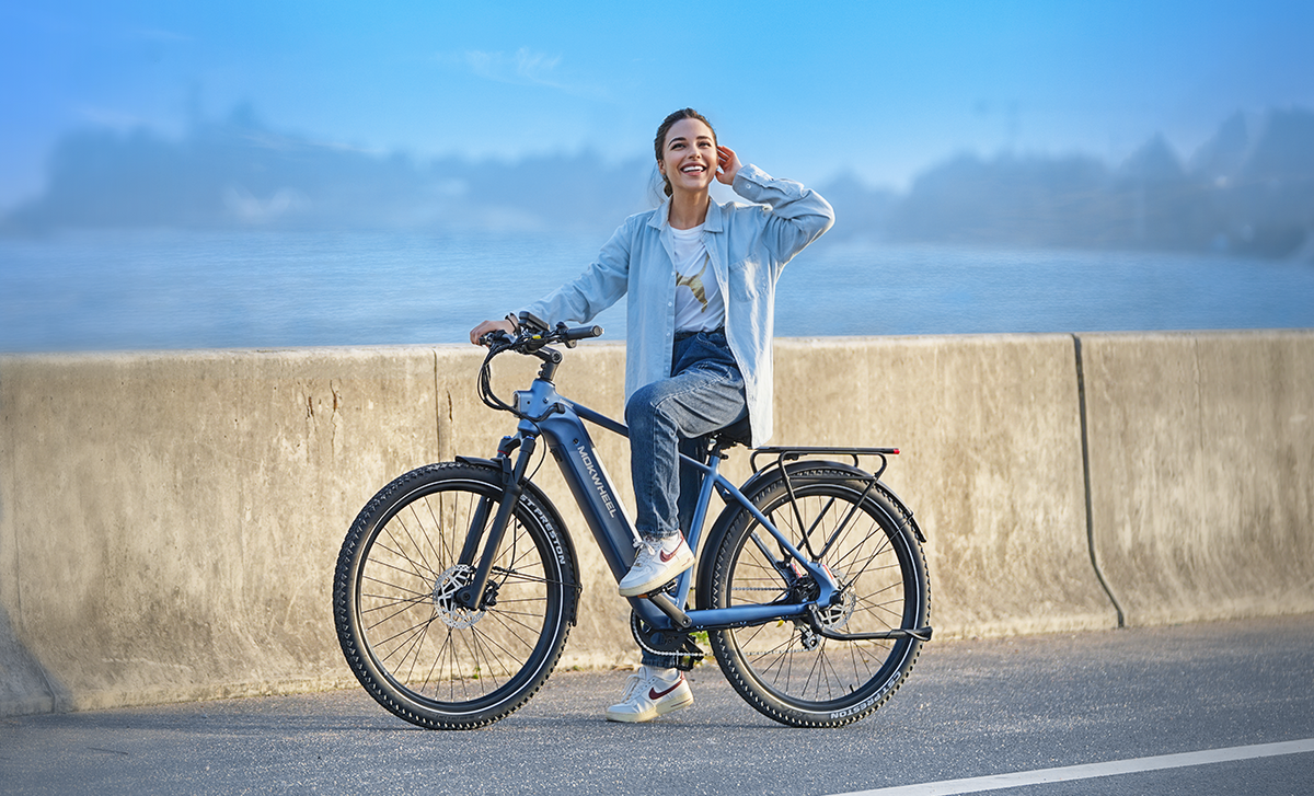 Mokwheel Tarmac - Commute e-bike