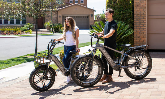 Mokwheel Basalt ST - fat tire step through electric bike