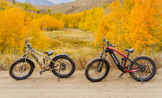 Mokwhee full suspension electric mountain bike for sale