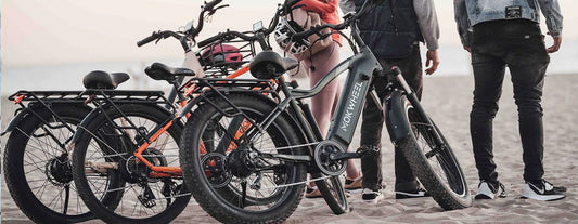 Mokwheel e-Bikes, the sustainable way