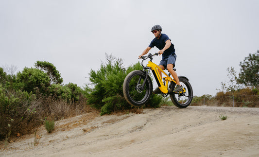 All Around Mountain Electric Bike