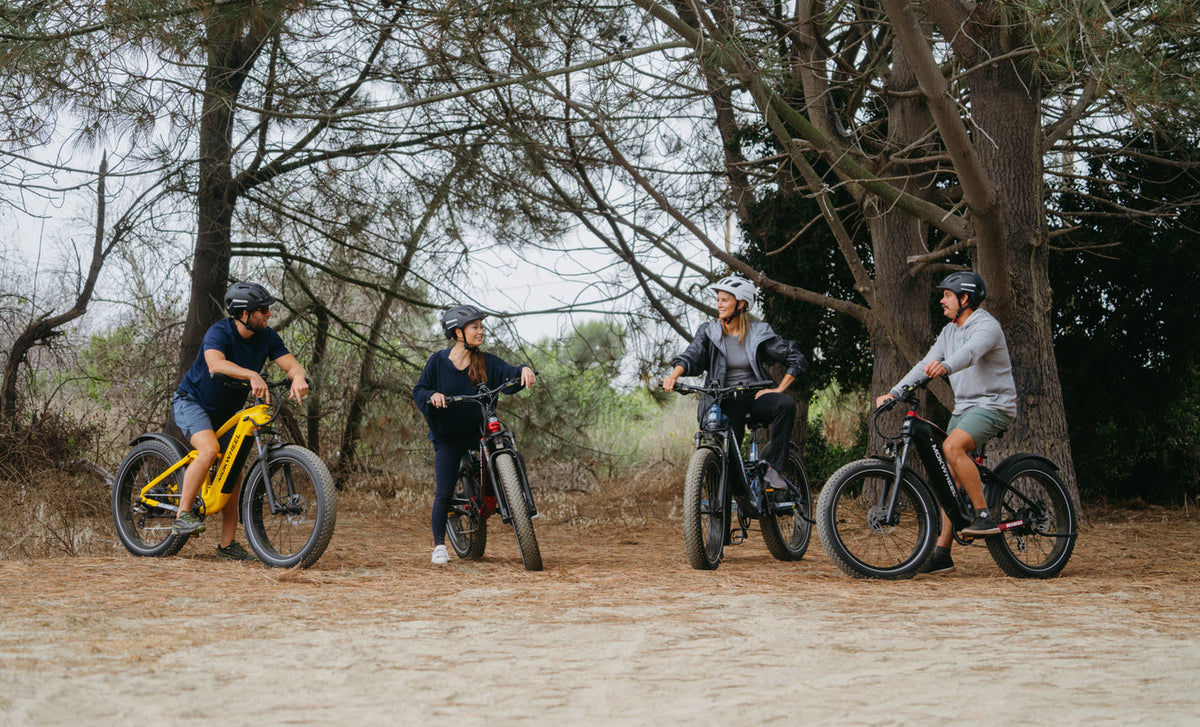 Best E-Mountain Bikes for Men and Women