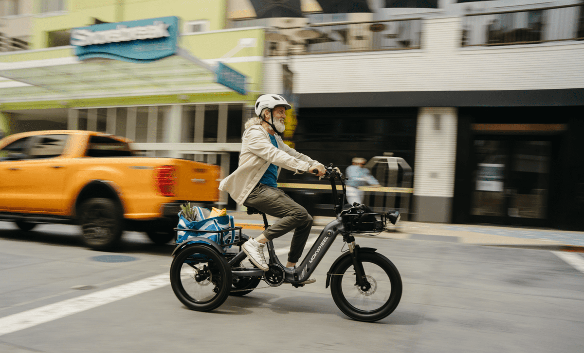 Mokwheel-ebike for seniors