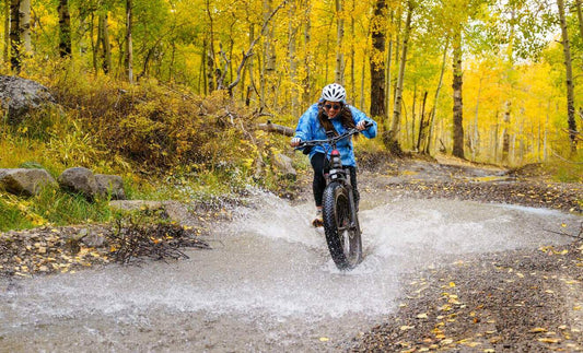Mokwheel Obsidian - fat tire electric mountain bike