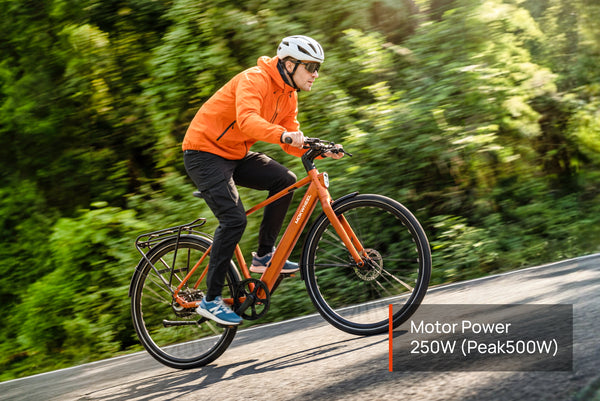 FLINT PRO Ebike
