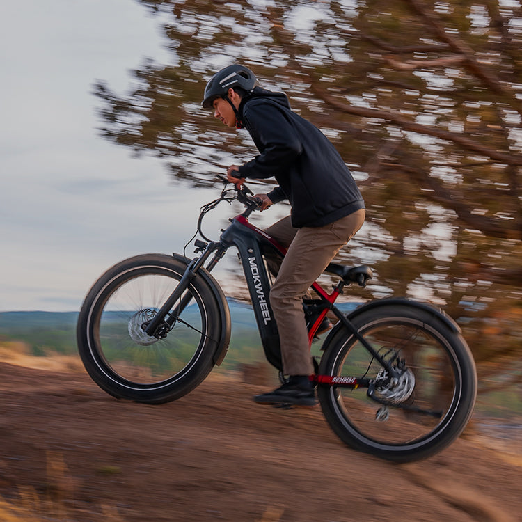 Mokwheel Ebikes