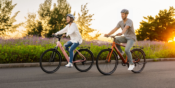 Mokwheel Ebikes