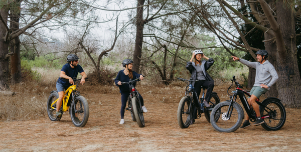 Mokwheel Ebikes