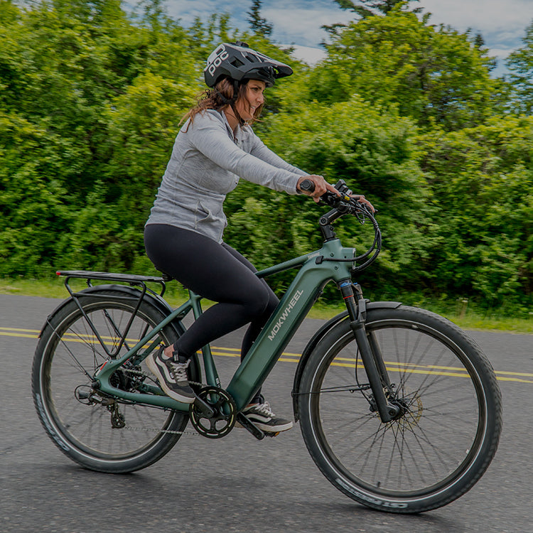Mokwheel Ebikes