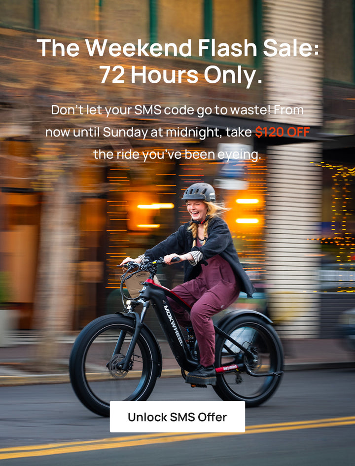 Mokwheel Ebikes