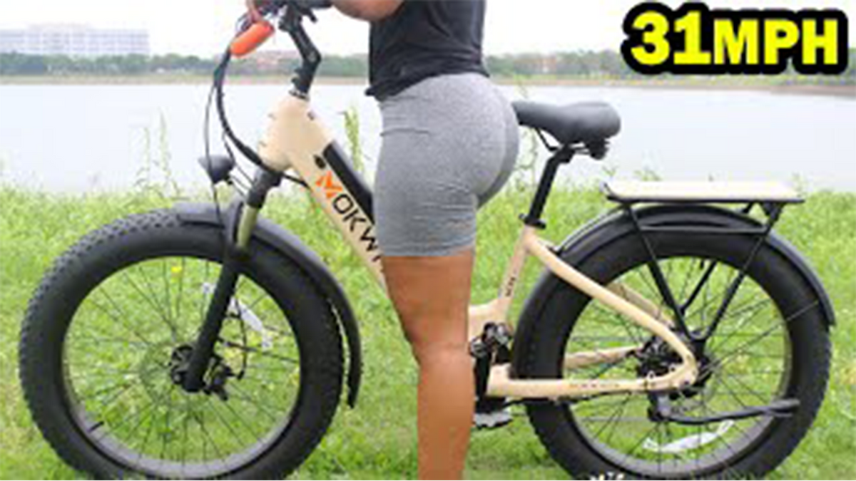 Mokwheel - most popular ebike brands
