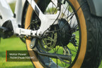 Scoria 2.0 Ebike