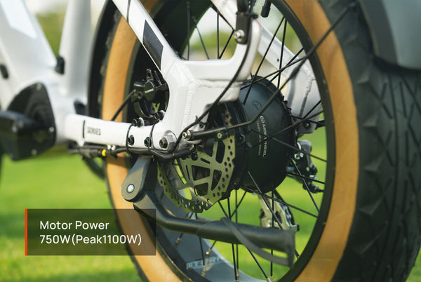 Scoria 2.0 Ebike