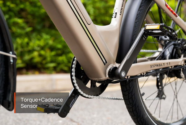 Asphalt Ebike