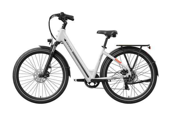 Asphalt ST Ebike