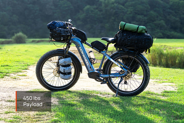 Basalt Ebike