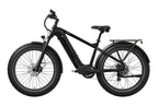 Basalt 2.0 Ebike