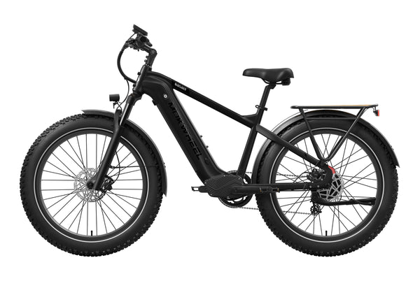 Basalt 2.0 Ebike