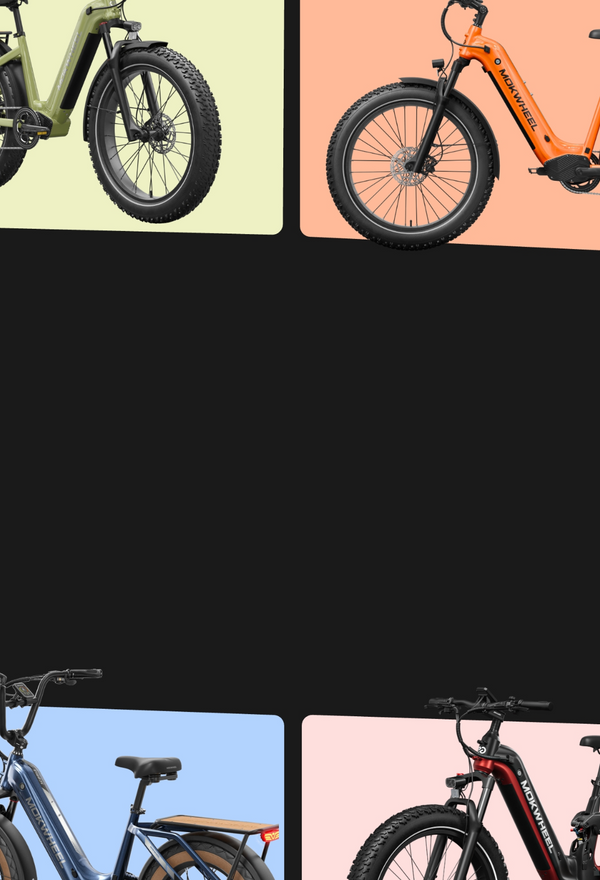 Mokwheel Ebikes