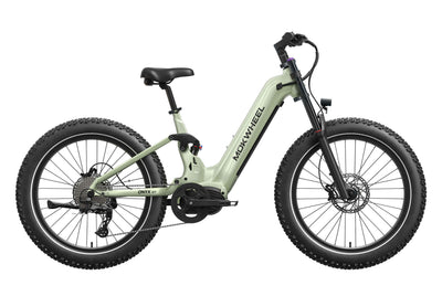 Onyx ST Ebike