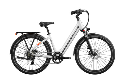 Asphalt ST Ebike