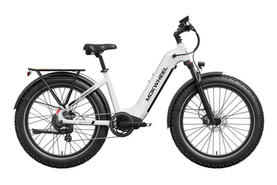 Basalt ST 2.0 Ebike