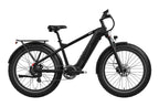 Basalt 2.0 Ebike