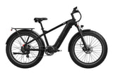Basalt 2.0 Ebike