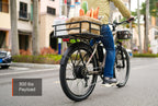 Asphalt ST Ebike