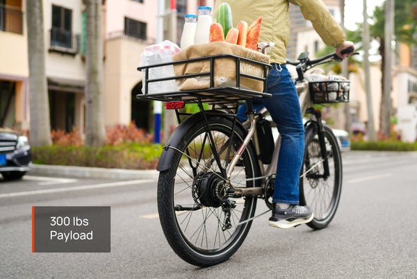 Asphalt ST Ebike