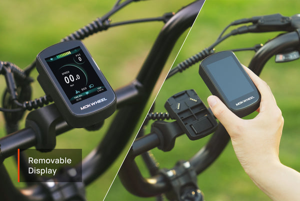 Scoria 2.0 Ebike