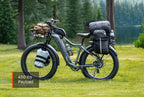 Tor Plus Ebike