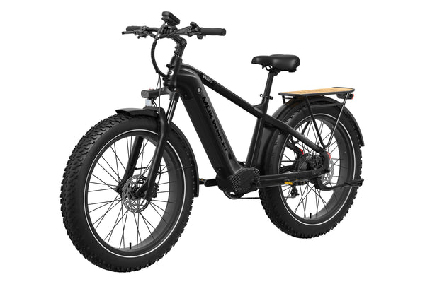 Basalt 2.0 Ebike