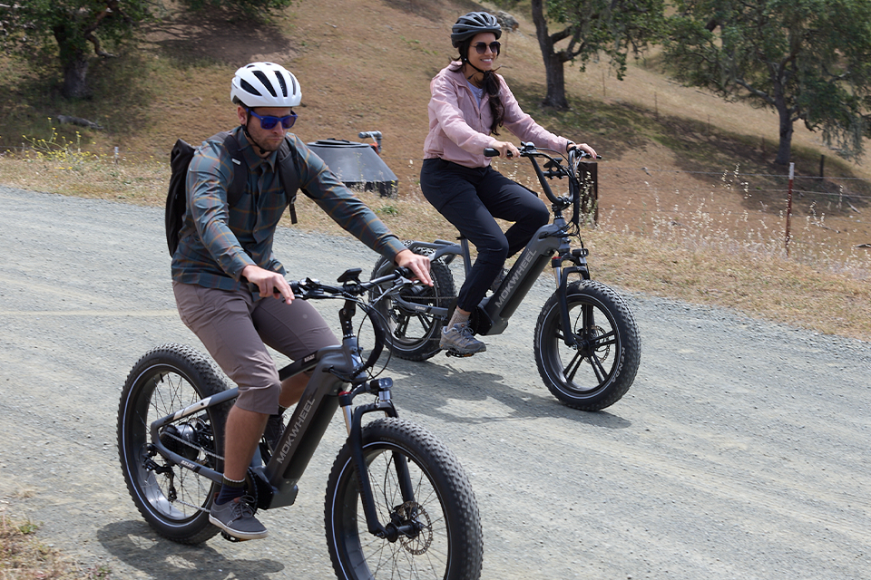 Mokwheel ebikes
