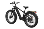 Basalt 2.0 Ebike