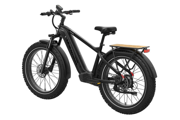 Basalt 2.0 Ebike