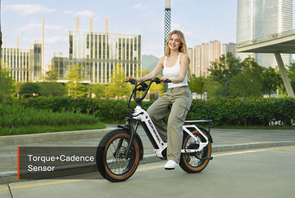 Scoria 2.0 Ebike