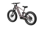 Onyx Ebike