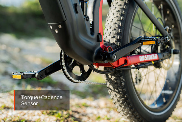 Dual torque & cadence sensors on Mokwheel Obsidian e-bike for natural pedal assist
