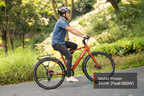 FLINT Ebike