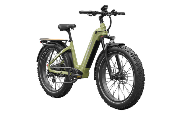 Basalt ST 2.0 Ebike