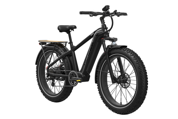 Basalt 2.0 Ebike