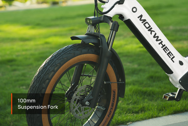 Scoria 2.0 Ebike