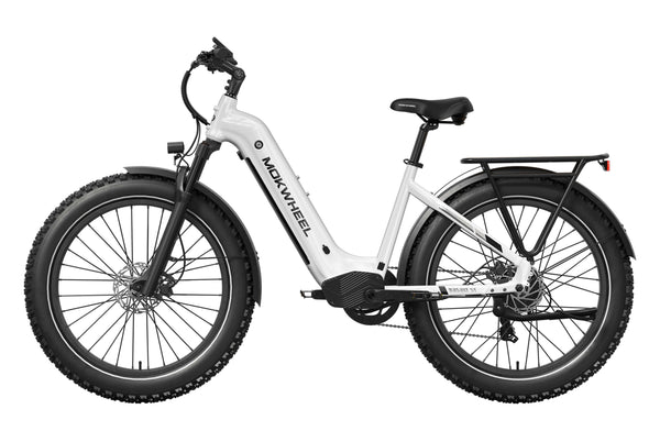Basalt ST Ebike